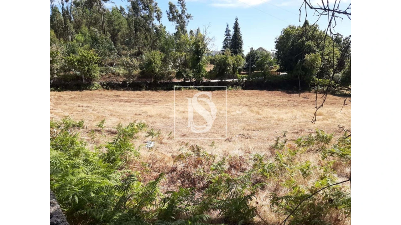 Terreno para Venda em Anissó e Soutelo Foto 3