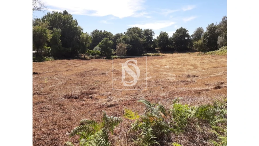 Terreno para Venda em Anissó e Soutelo Foto 14