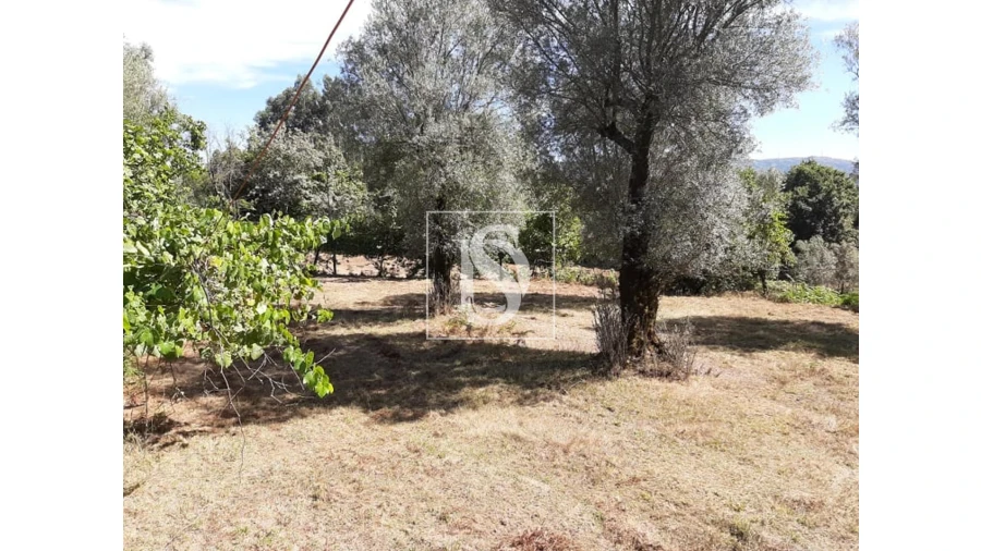 Terreno para Venda em Anissó e Soutelo Foto 10