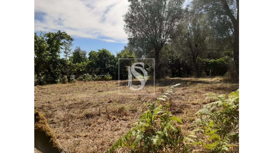 Terreno para Venda em Anissó e Soutelo Foto 12