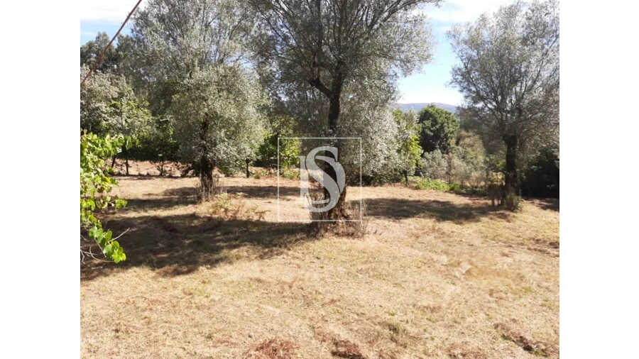 Terreno para Venda em Anissó e Soutelo Foto 2