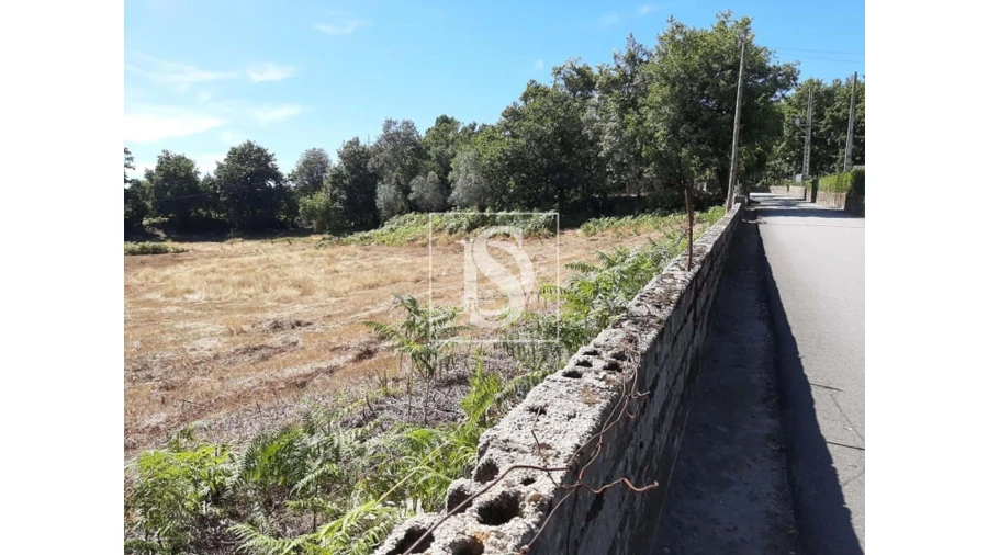Terreno para Venda em Anissó e Soutelo Foto 9