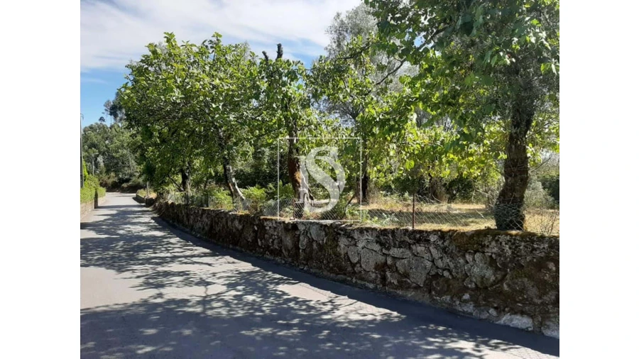 Terreno para Venda em Anissó e Soutelo Foto 4