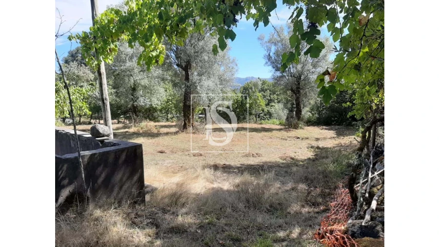 Terreno para Venda em Anissó e Soutelo Foto 6