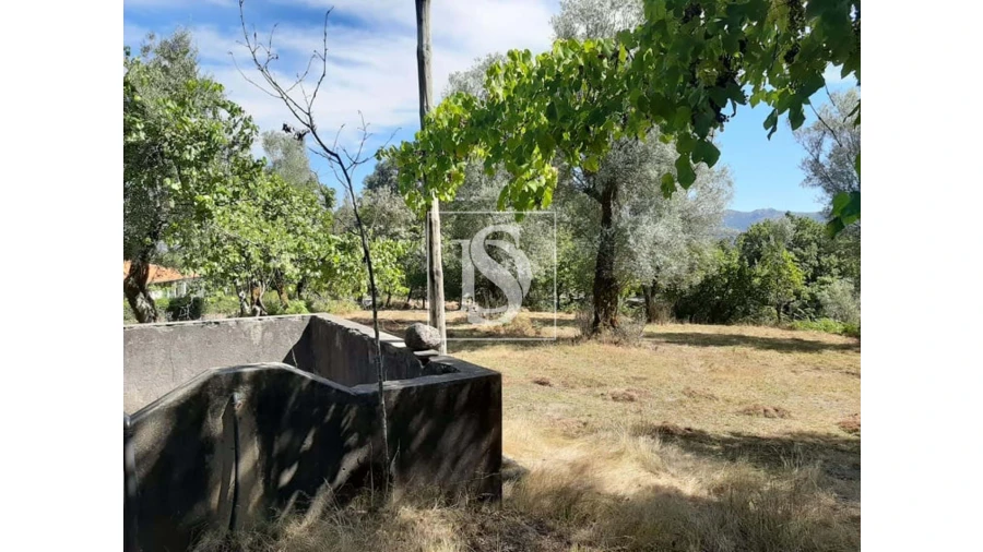 Terreno para Venda em Anissó e Soutelo Foto 8
