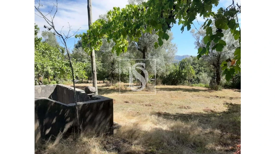 Terreno para Venda em Anissó e Soutelo Foto 13