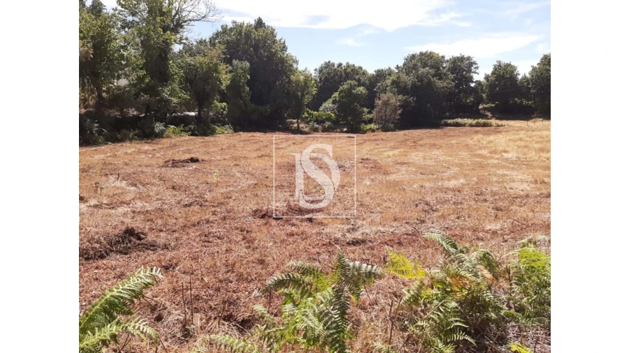Terreno para Venda em Anissó e Soutelo Foto 1