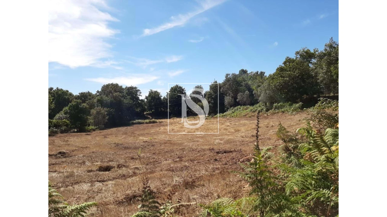 Terreno para Venda em Anissó e Soutelo Foto 7