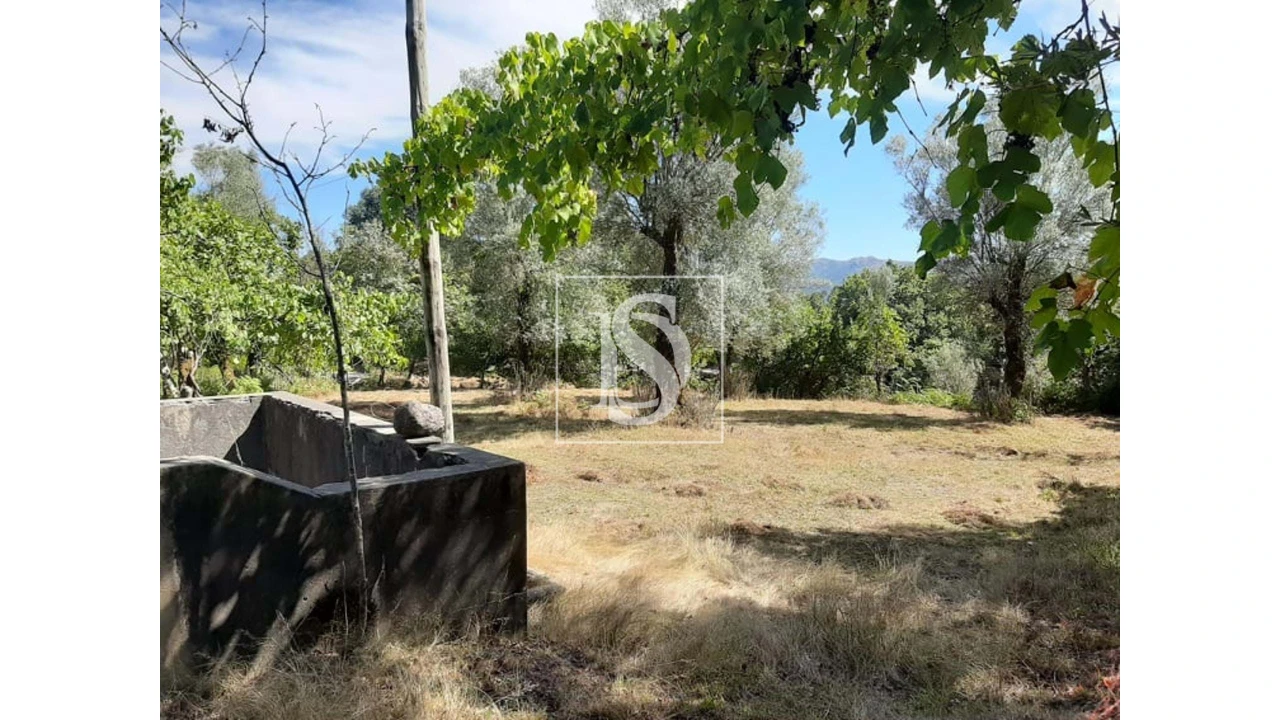 Terreno para Venda em Anissó e Soutelo Foto 13