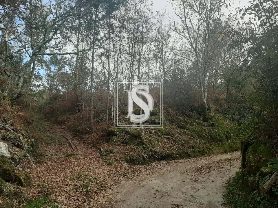 Terreno para Venda em Vieira do Minho Foto 1