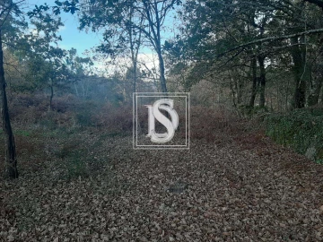 Terreno para Venda em Vieira do Minho
