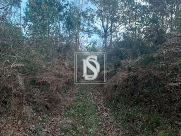 Terreno para Venda em Vieira do Minho