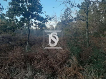 Terreno para Venda em Vieira do Minho