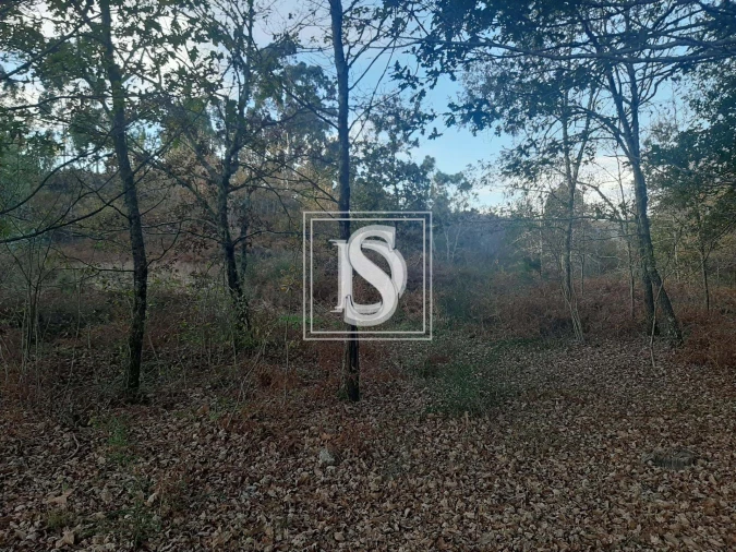 Terreno para Venda em Vieira do Minho Foto 4