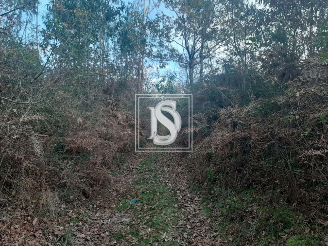 Terreno para Venda em Vieira do Minho Foto 3