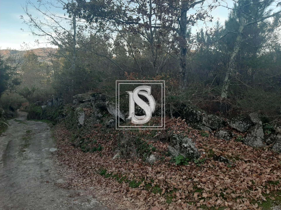 Terreno para Venda em Vieira do Minho Foto 14