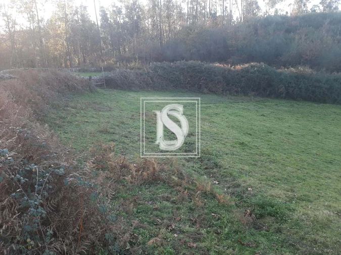 Terreno para Venda em Vieira do Minho Foto 4