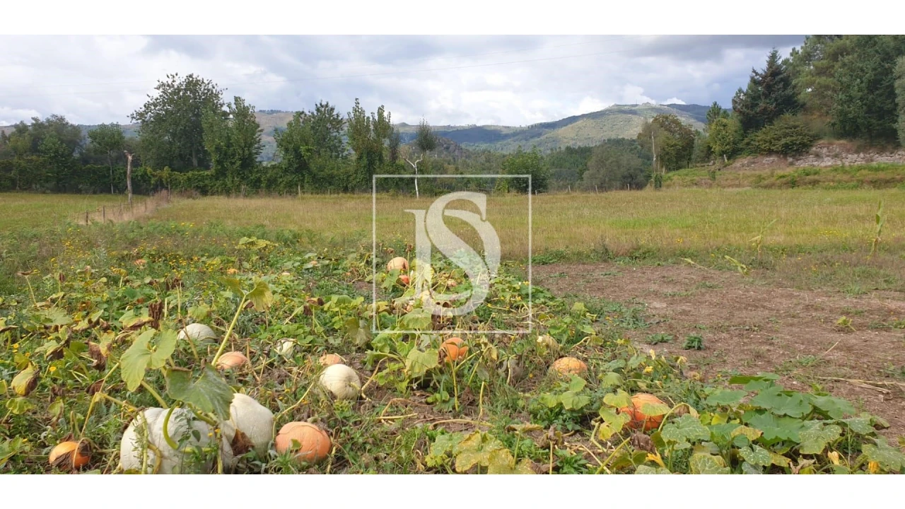 Moradia T3 para Venda em Pinheiro Foto 25