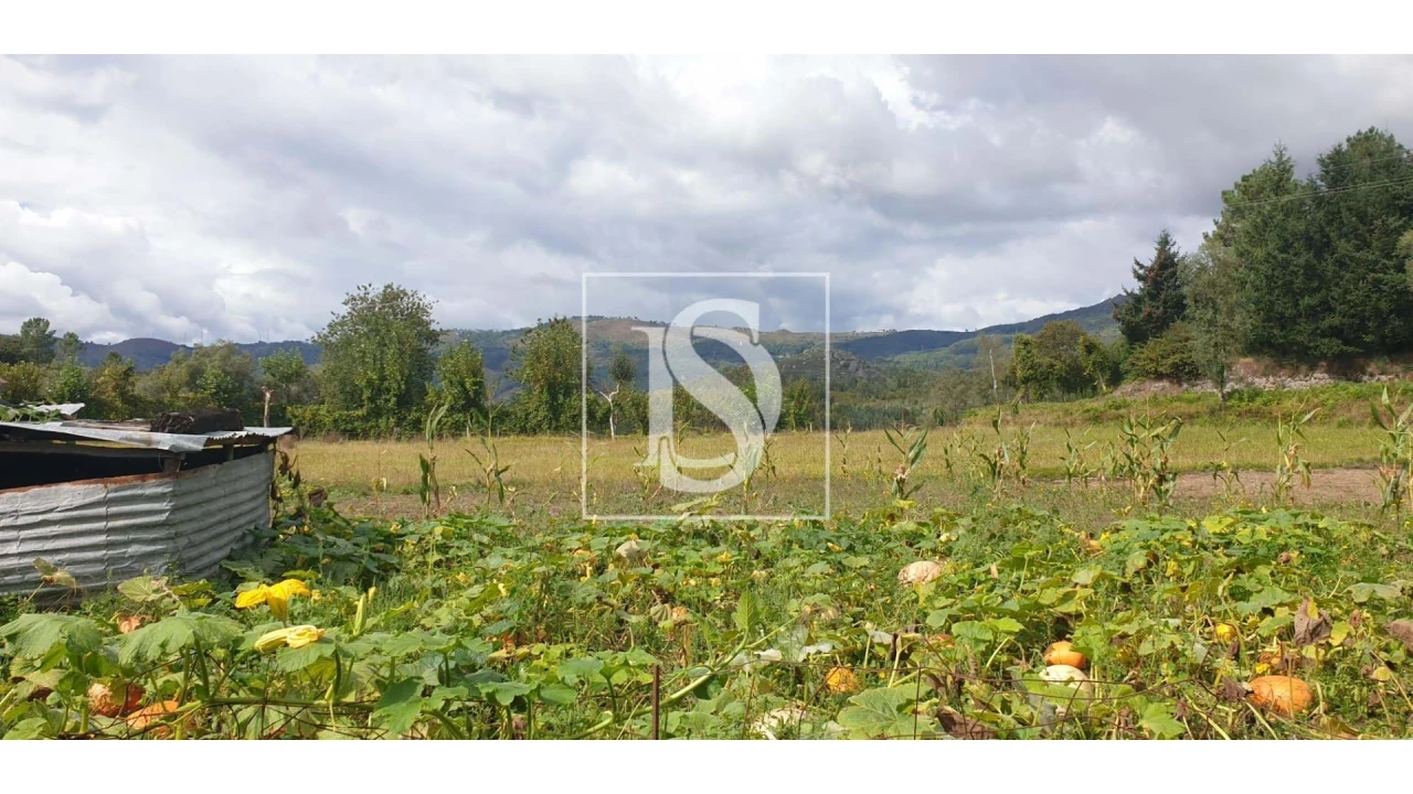 Moradia T3 para Venda em Pinheiro Foto 1