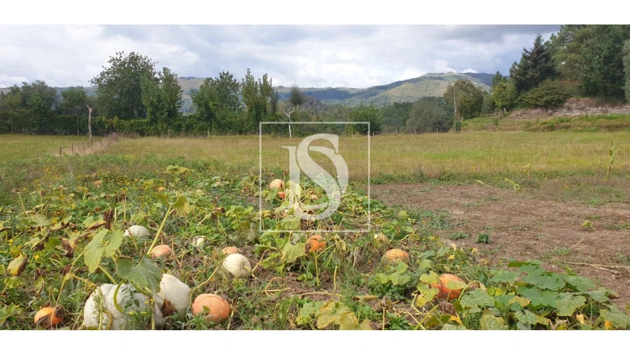 Moradia T3 para Venda em Pinheiro Foto 25