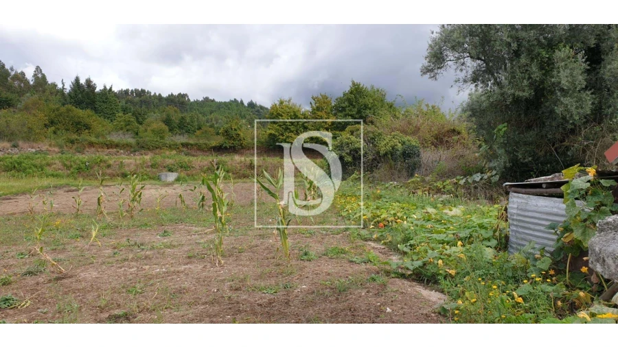 Moradia T3 para Venda em Pinheiro Foto 3