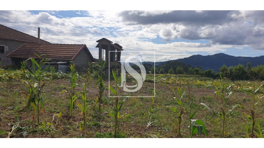 Moradia T3 para Venda em Pinheiro Foto 24