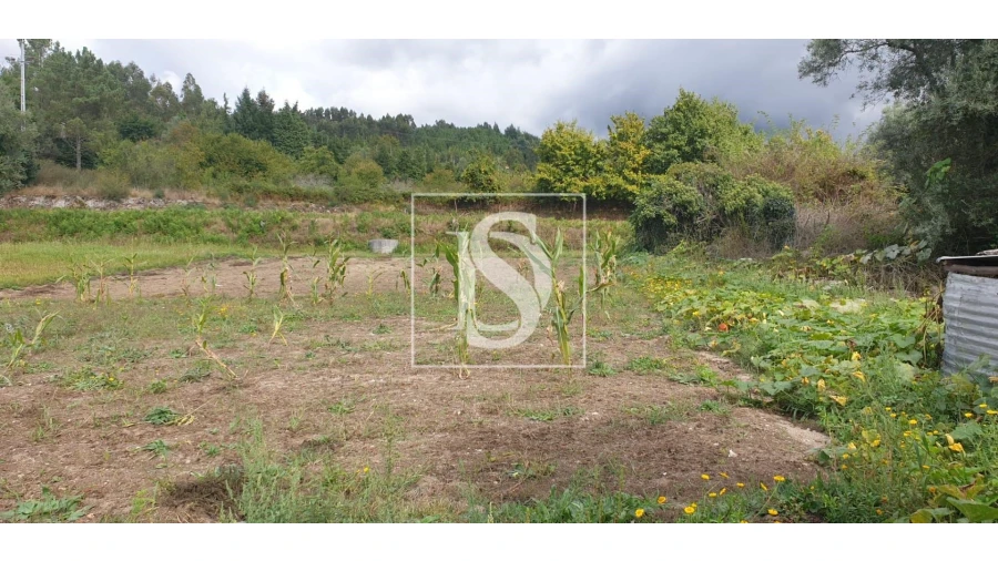 Moradia T3 para Venda em Pinheiro Foto 17