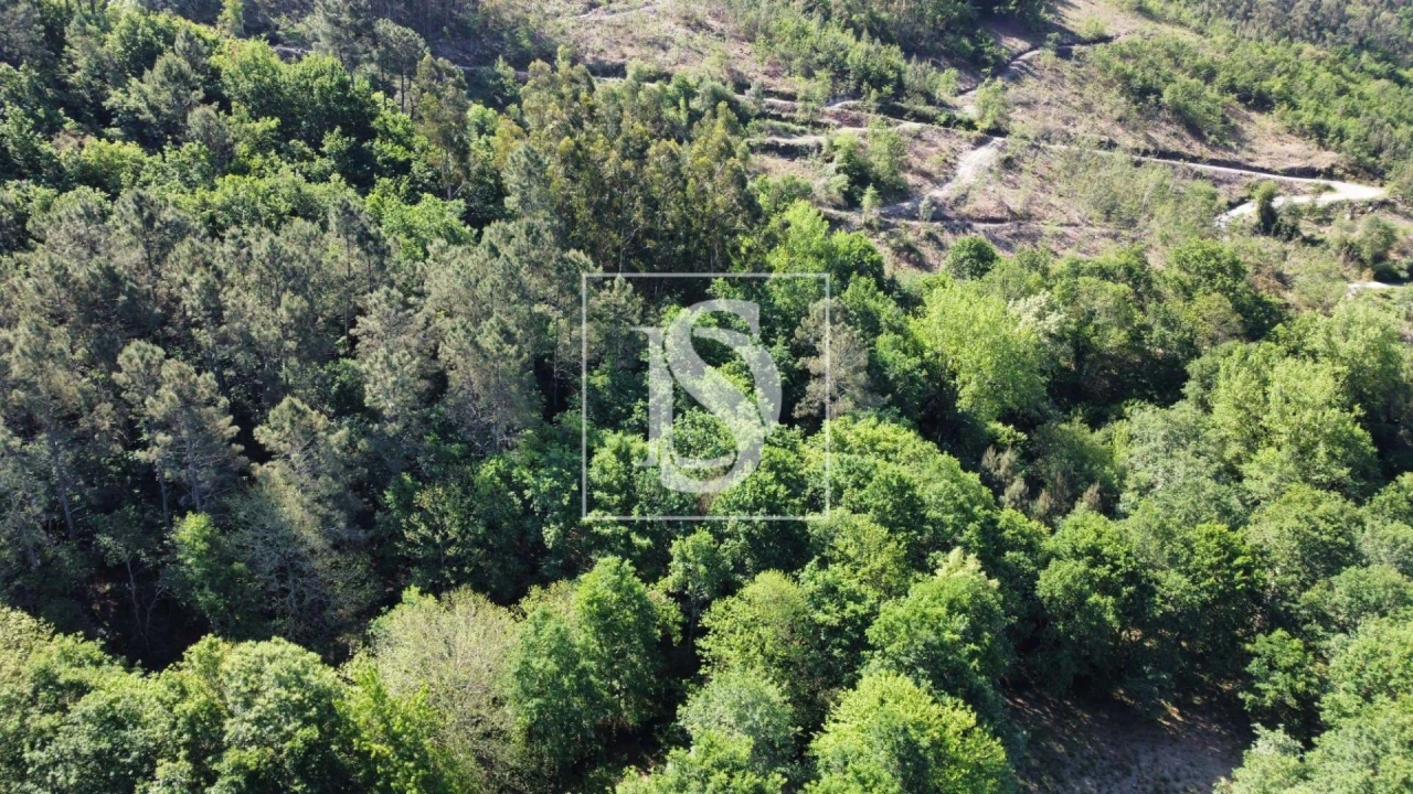 Quinta para Venda em Mosteiro Foto 5