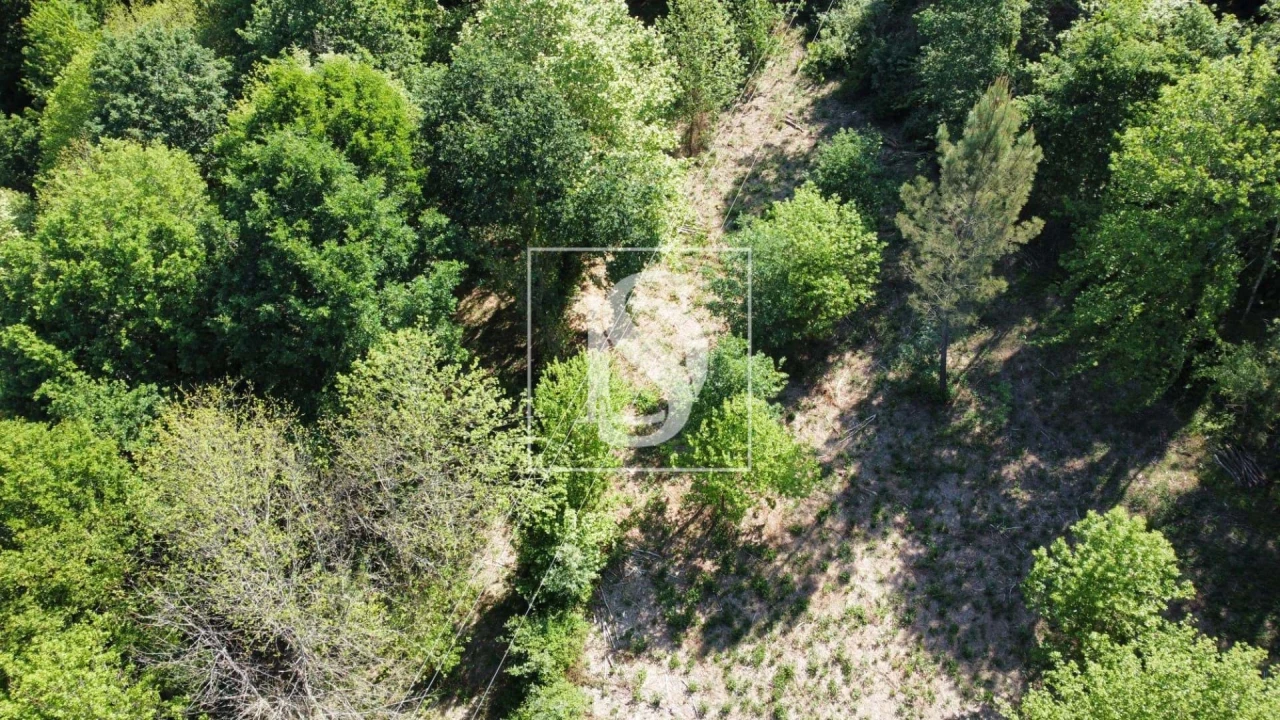 Quinta para Venda em Mosteiro Foto 3