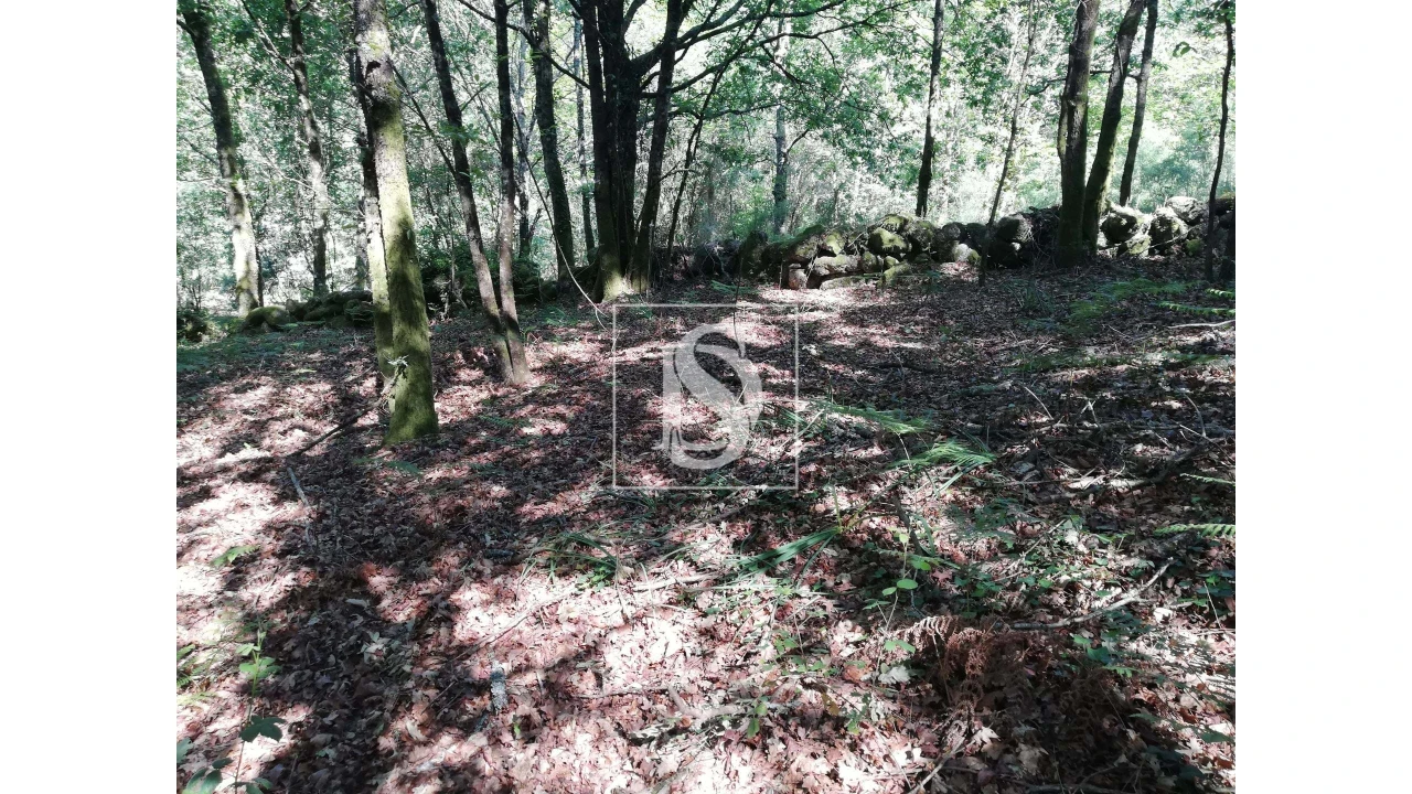 Quinta para Venda em Mosteiro Foto 23