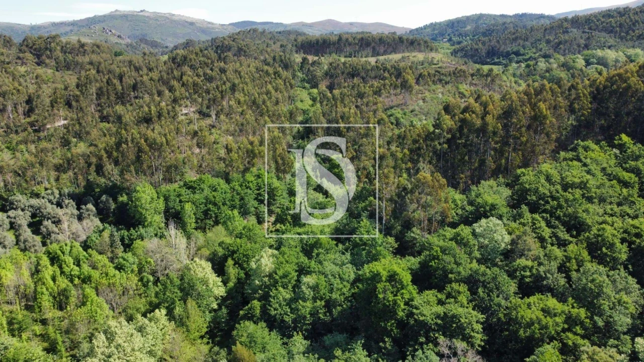 Quinta para Venda em Mosteiro Foto 7