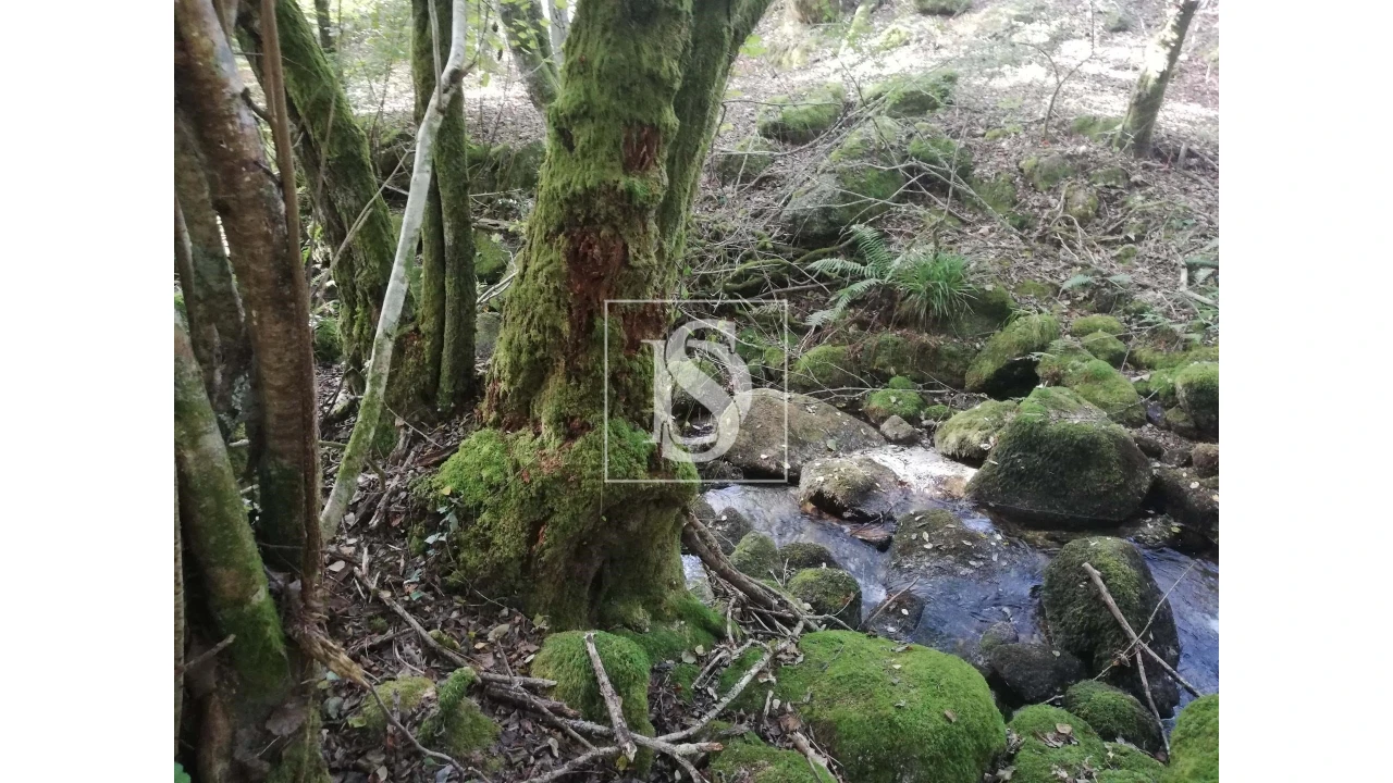 Quinta para Venda em Mosteiro Foto 29