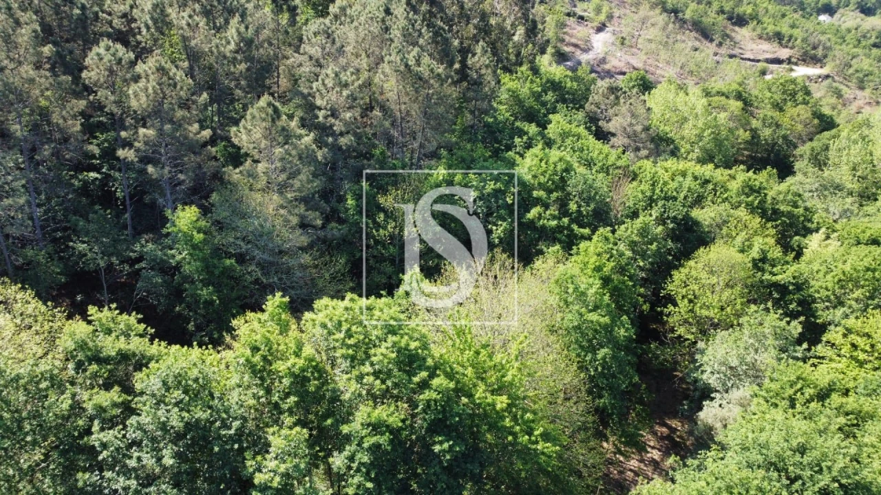 Quinta para Venda em Mosteiro Foto 1