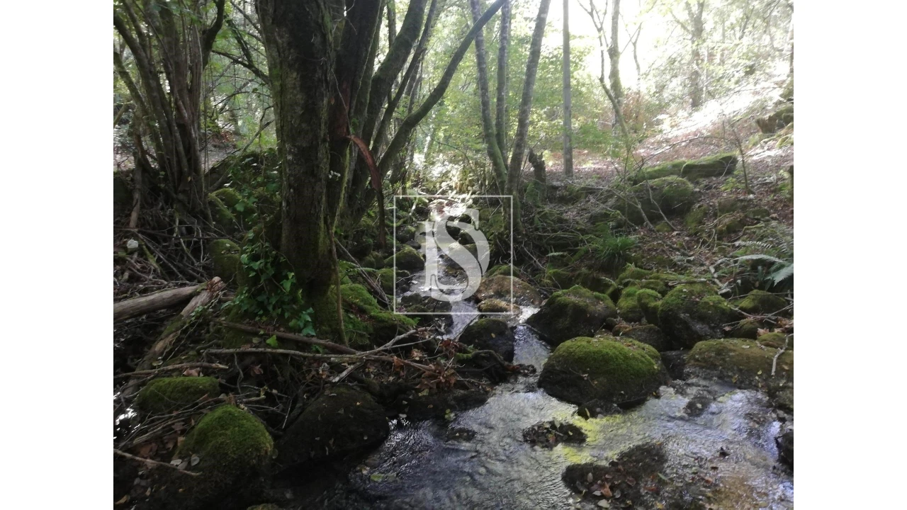 Quinta para Venda em Mosteiro Foto 28