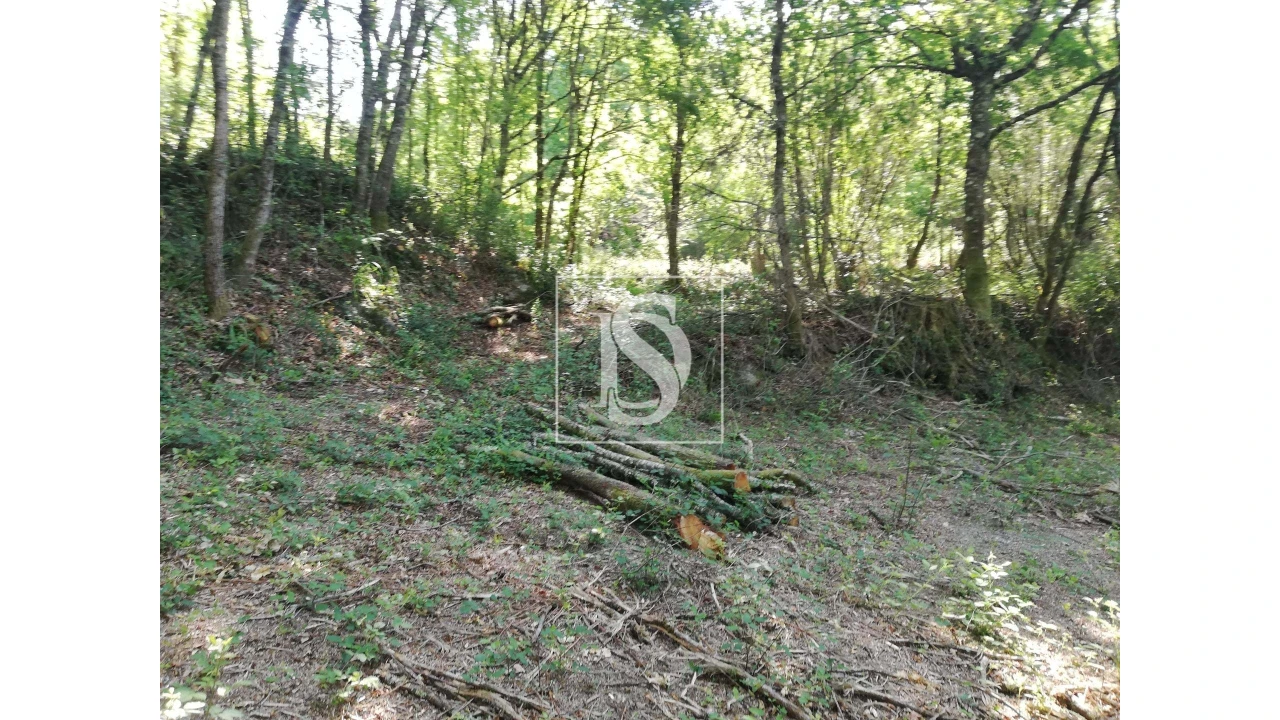 Quinta para Venda em Mosteiro Foto 18