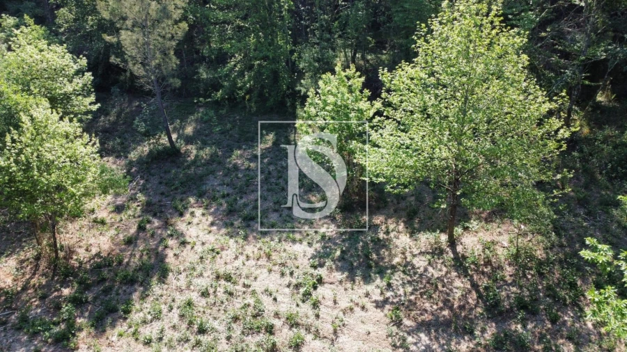 Quinta para Venda em Mosteiro Foto 6