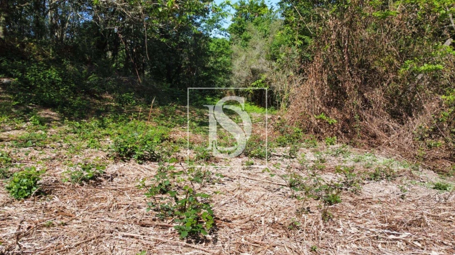 Quinta para Venda em Mosteiro Foto 12