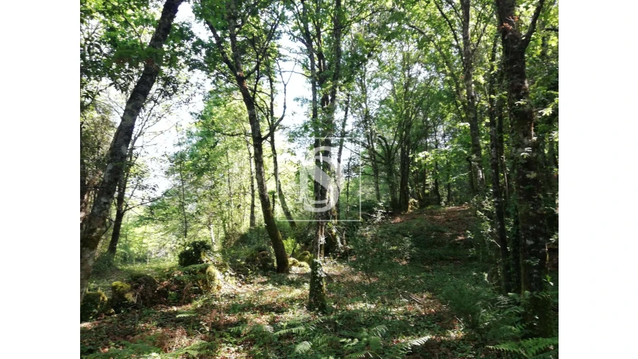 Quinta para Venda em Mosteiro Foto 20