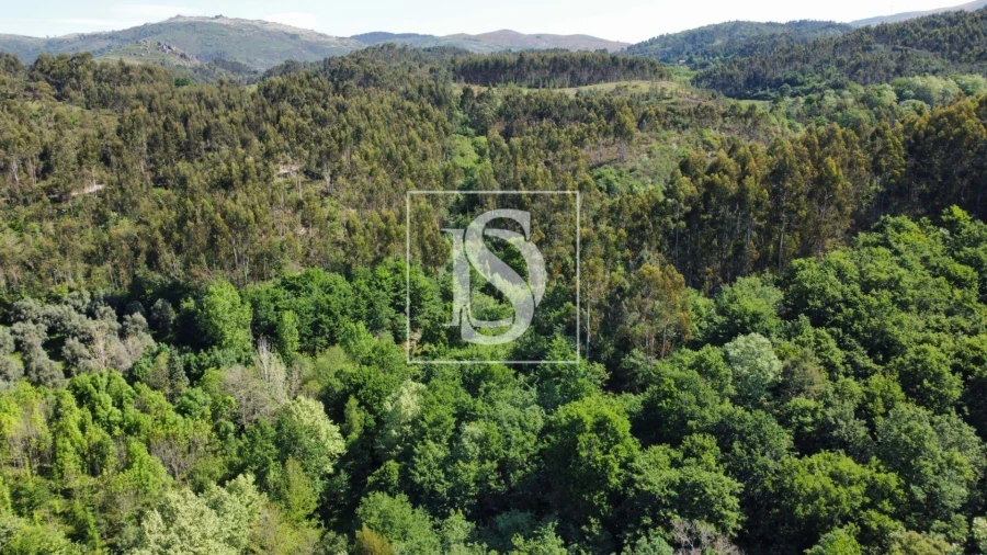 Quinta para Venda em Mosteiro Foto 7