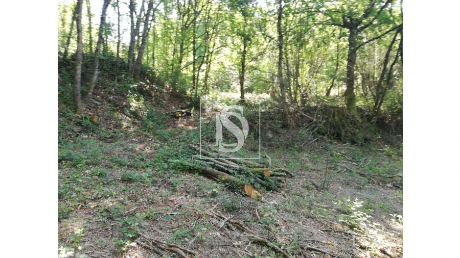 Quinta para Venda em Mosteiro Foto 18