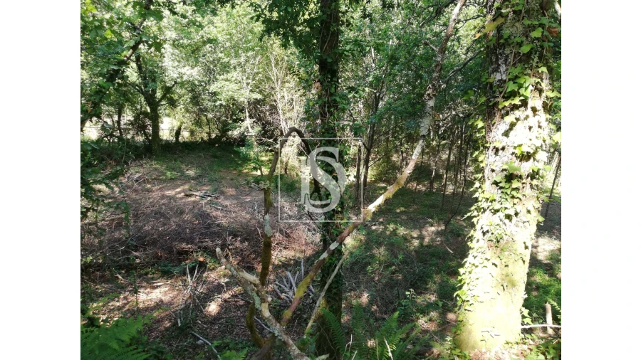 Quinta para Venda em Mosteiro Foto 17