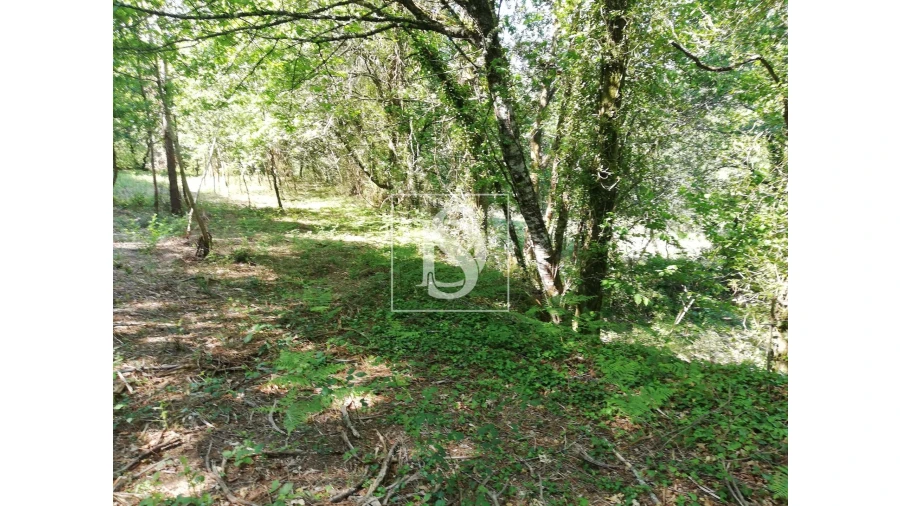 Quinta para Venda em Mosteiro Foto 19