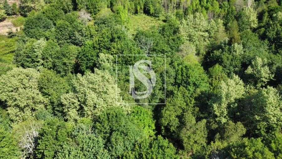 Quinta para Venda em Mosteiro Foto 2