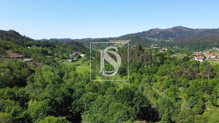 Quinta para Venda em Mosteiro Foto 4