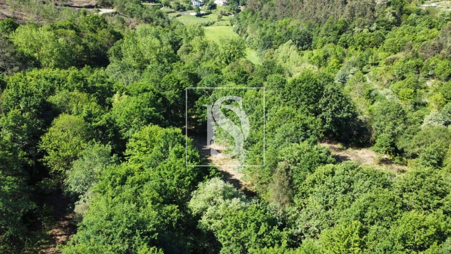 Quinta para Venda em Mosteiro Foto 8