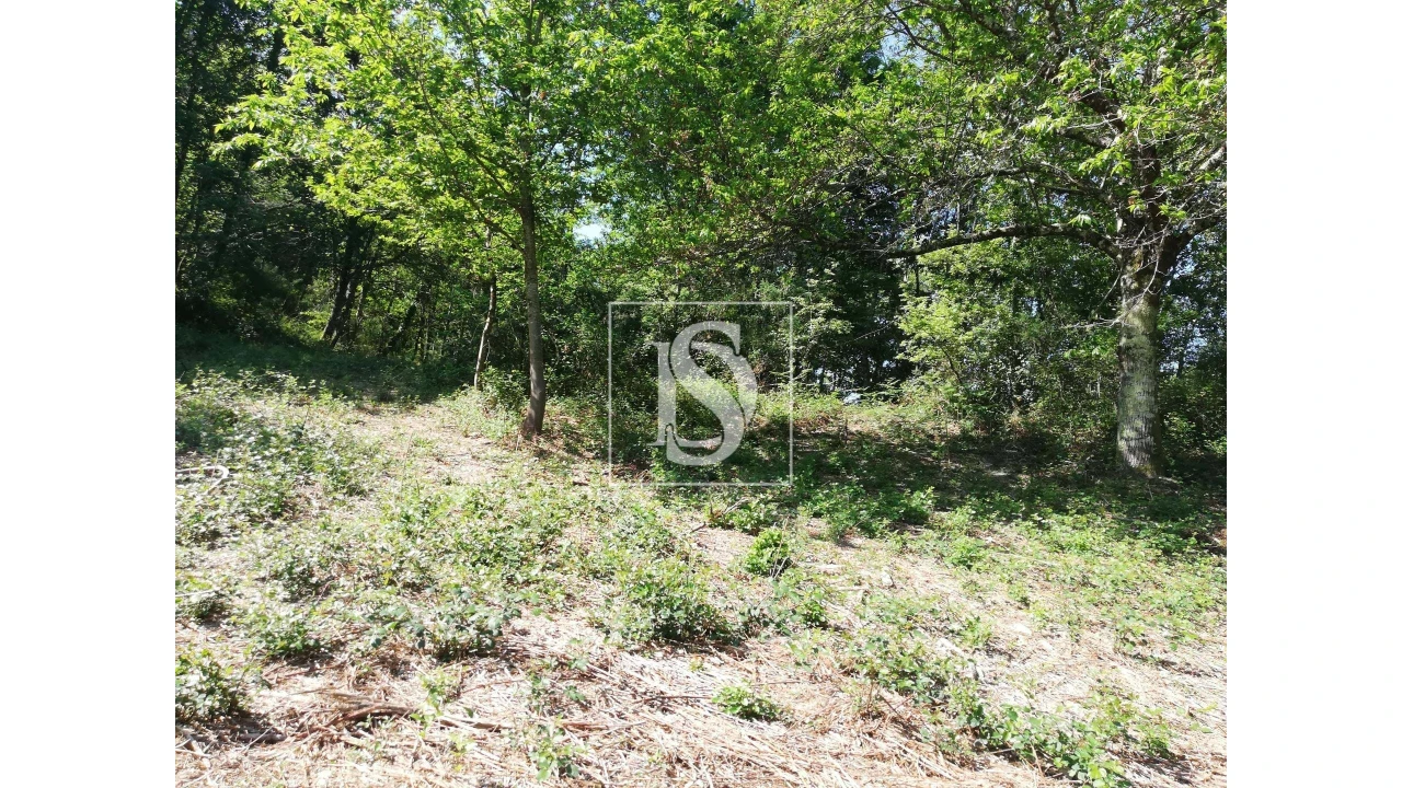 Quinta para Venda em Mosteiro Foto 16