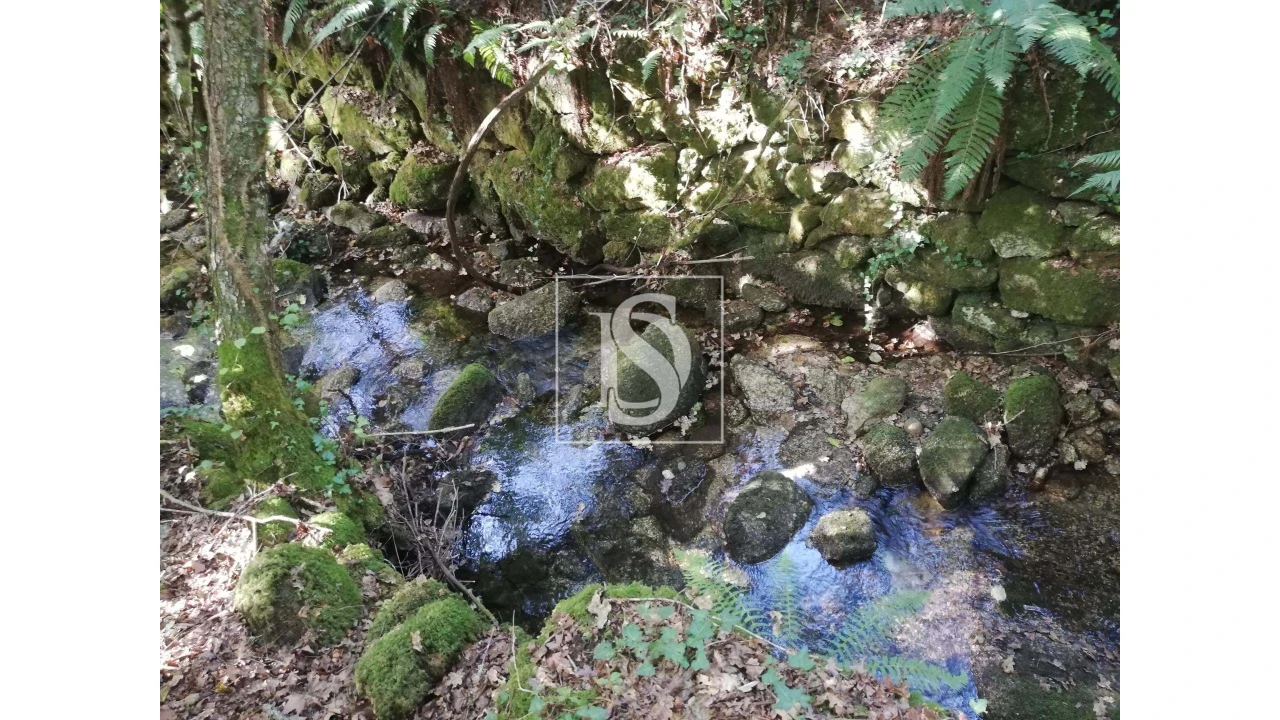 Quinta para Venda em Mosteiro Foto 30