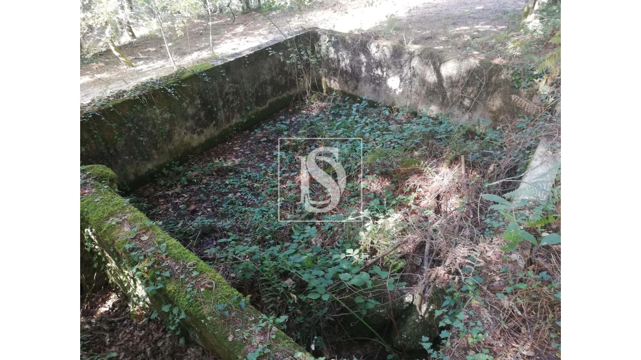 Quinta para Venda em Mosteiro Foto 26