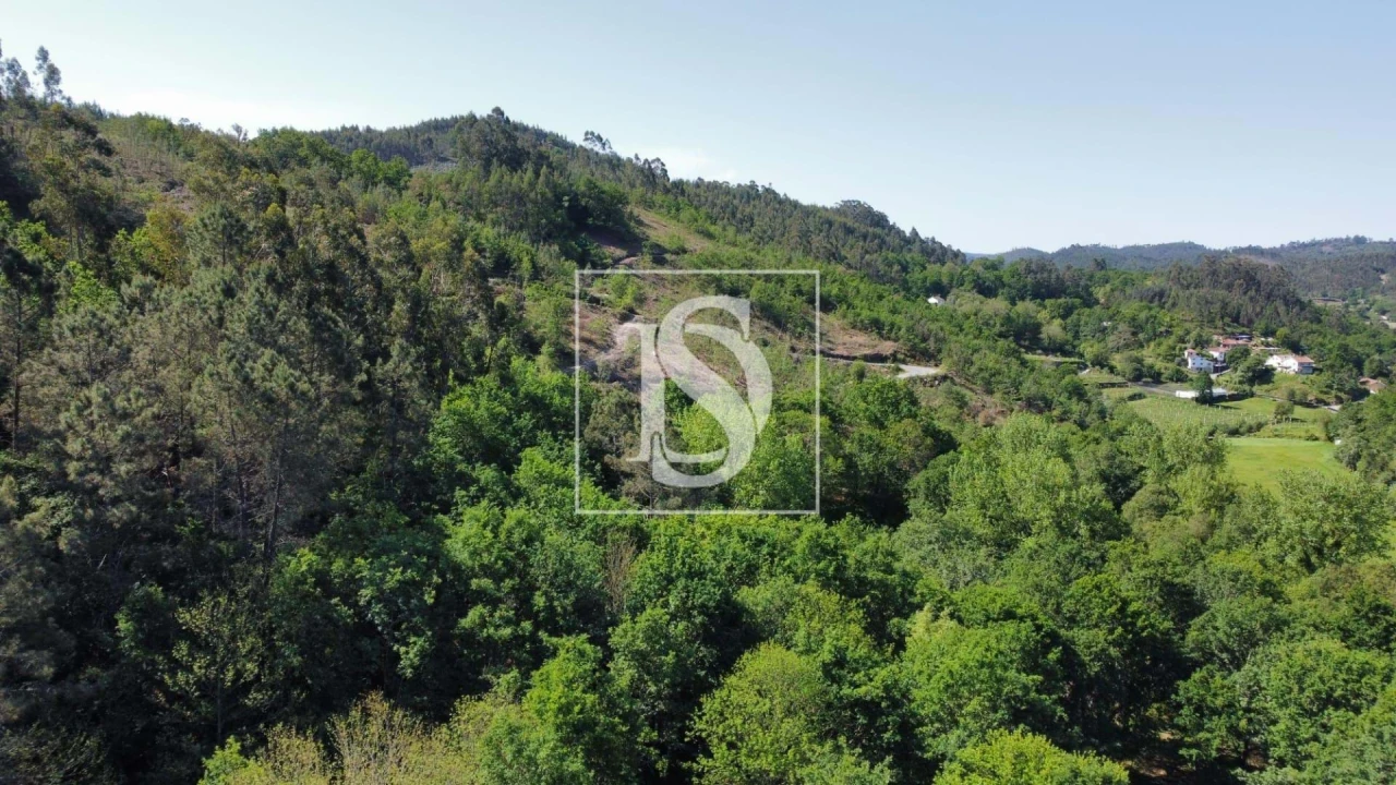 Quinta para Venda em Mosteiro Foto 10