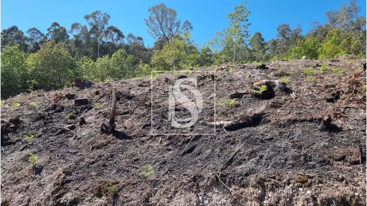 Terreno para Venda em Eira Vedra Foto 4